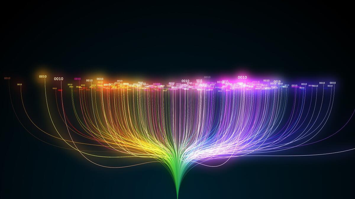 Colorful phylogeny diagram against a black backdrop